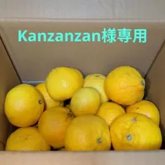 Kanzanzan様専用　媛小春♥