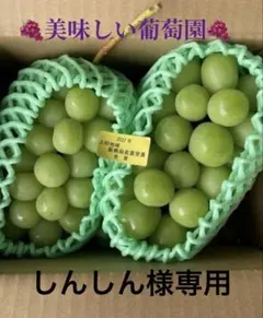 しんしん様専用シャインマスカット3房美味しい葡萄園