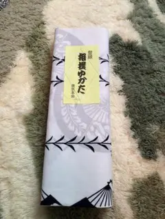 Item thumbnail for item 70e17c27-f782-4a25-b03e-76b9b275994d