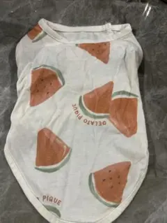 Item thumbnail for item c0f155c9-c410-4e58-bbaa-8bb7ede8120a