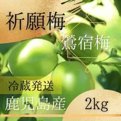 南高梅&鶯宿梅】青梅ミックス2キロ 鹿児島産 冷蔵発送 栽培期間中農薬
