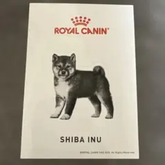 Item thumbnail for item 119bde2f-ca94-44da-90c2-b976ae3d3802