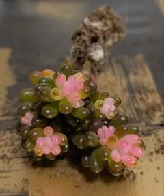 ろく様 リクエスト 2点 まとめ商品