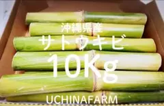 宮古島さときび 10kg Mía - メルカリ