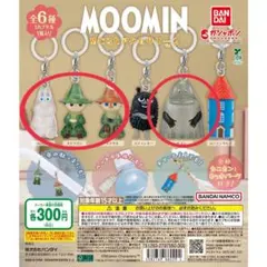 ムーミンめじるしアクセサリー　４点セット