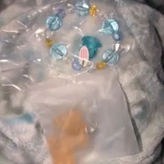 ポケモン カプセルトイ セット