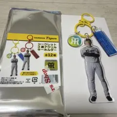 阪神タイガース シークレット3連アクリルキーホルダー 才木選手 - メルカリ