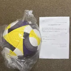FIFA主要大会　公式試合球サッカーボール　conext25