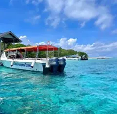 月帯 TSUKIOBI吸水ショーツ Lサイズ ブラック