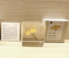 ［新品未使用］Sola cube イモーテル