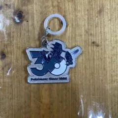 Pokémon 30周年記念 メタルキーホルダー