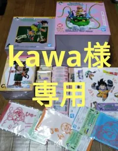 一番くじ ドラゴンボール DRAGONBALL SNAP COLLECTION