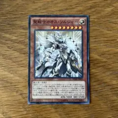 【美品】聖戦士カオス・ソルジャー 未使用品のサムネイル