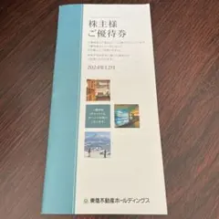 【最終値下げ】東急不動産　株主優待