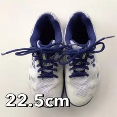 YONEX CASCADE ACCEL 22.5cm シューズのサムネイル