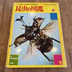 Item thumbnail for item e3eac8c1-d5c7-48f0-9664-bc97dcce8ac3