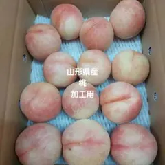 山形県産29桃加工用31日