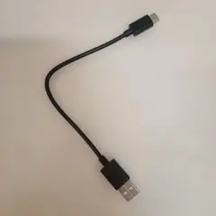 【SONY ワイヤレスイヤホン付属品】USBケーブルのサムネイル