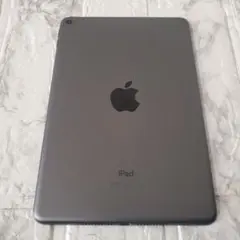 103 iPad mini 5世代 64GB Wi-Fi スペースグレイ