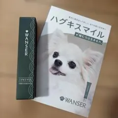 新品未開封　WANSER ハグキスマイル 口腔ジェル 30mlのサムネイル