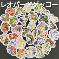 レオパードゲッコー　フレークシール　ヒョウモントカゲモドキ　爬虫類　シール