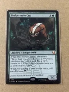 2026年最新】アナグマモグラの仔の人気アイテム - メルカリ