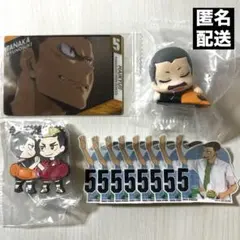 ハイキュー‼︎ 田中龍之介 11点まとめ売り