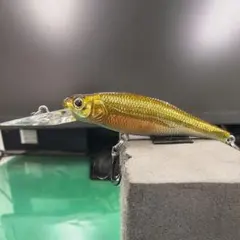 2025年最新】ライブエックスマーゲイの人気アイテム - メルカリ