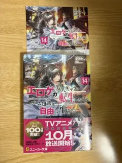 マジカル★エクスプローラー 14巻 アニメイト特典付き