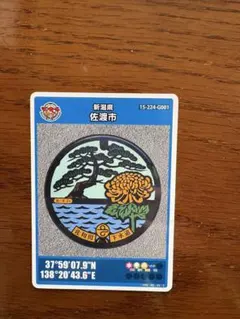 Item thumbnail for item f8a659dd-847a-46db-9645-fc716c4a9068