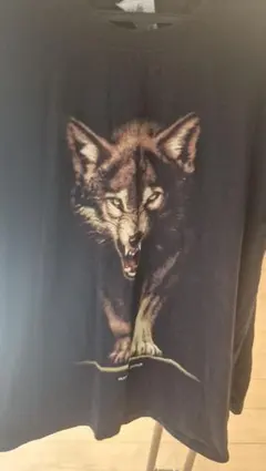 黒Tシャツ　2枚　セット 狼、グラニフ
