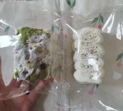 スクイーズ　まとめ売り　bubbleland　海外スクイーズ