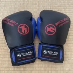 ボクシンググローブ 8