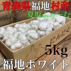 福地村産 元祖福地ホワイト L 10kg 乾燥にんにく 青森県産 夏坂ふぁー