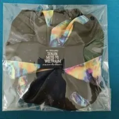 Mrs.GREEN APPLE ゼンジン シュシュ