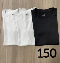 プーマ　Tシャツ　速乾　キッズ　150cm
