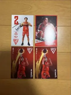 千葉ジェッツトレーディングカード富樫勇樹