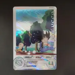 ぼんじん様 リクエスト 2点 まとめ商品