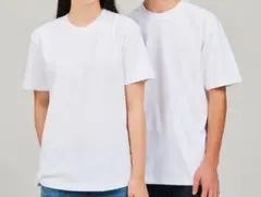 セール ヘインズ ビーフィー 2 枚セット Tシャツ 半袖 厚地 H5180-2