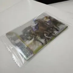 【即日発送】サラブレッドホースコレクション 第3Rドウデュース 箔押し 天皇賞秋