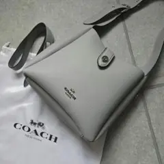 美品　COACH　クロスボディバッグ　ハドリー　コンバーチブル　水色 グレーのサムネイル