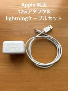 純正 Apple 12W USB電源アダプタ 充電ケーブルセット