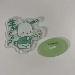 ポチャッコ アクリルスタンド 生きてる？ 산리오