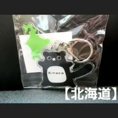 JR 北海道 Kitaca キタカ　エゾモモンガ　アクリルキーホルダー 　新発売