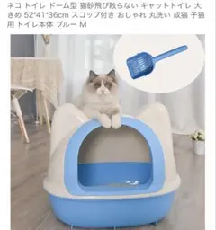 Item thumbnail for item 59b01a2c-aac4-493f-b926-ee851d1ececc