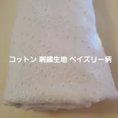 Item thumbnail for item 4f475ef0-b89b-4963-bd50-d8b2592ddae8