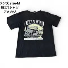 メンズ 短丈Tシャツ アメカジ vintage