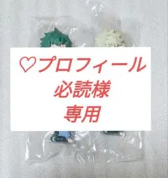 ♡プロフィール必読様専用