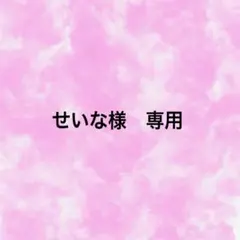 せいな様　専用ページ