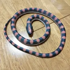 ヘビ　へび　リアル　プライズ　おもちゃ　ソフビ